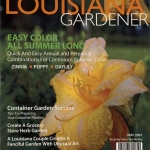 Magazine Redesign cover